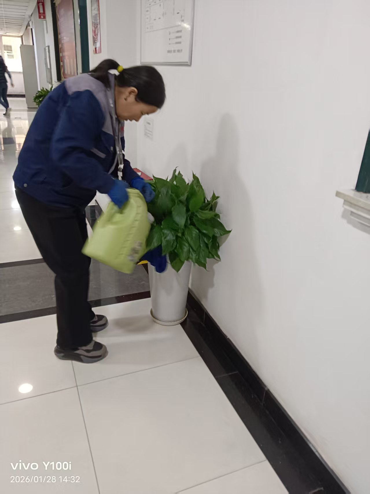 会议室绿植搭配实景