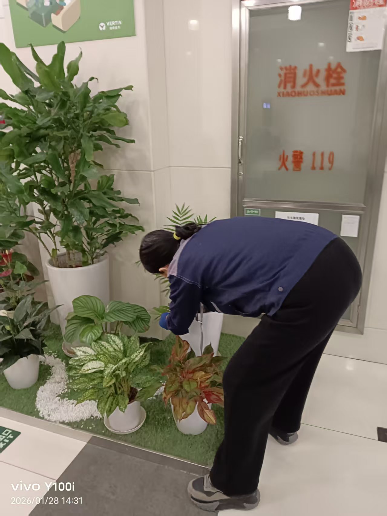 花箱花境布置实景