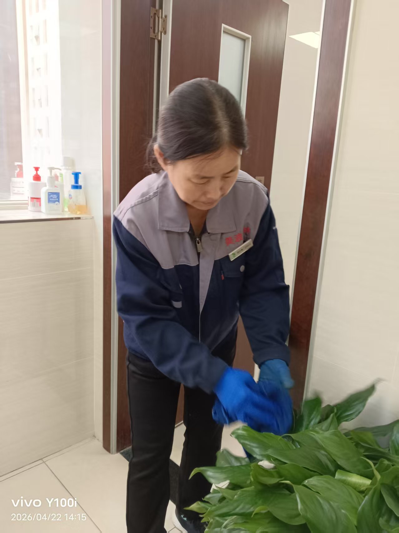 前台绿植摆放实景