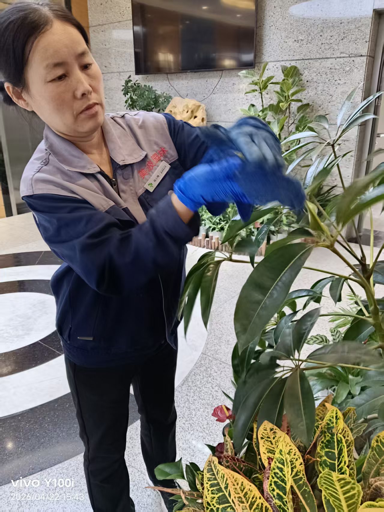 园区绿化养护作业实景
