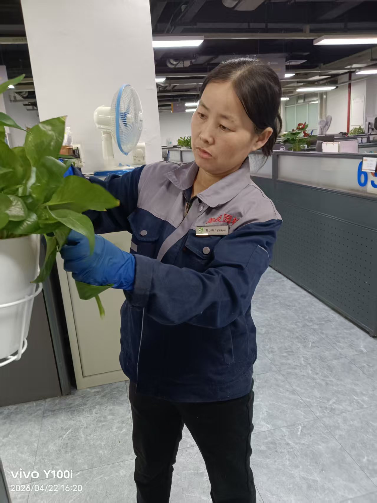 节庆花木布置实景