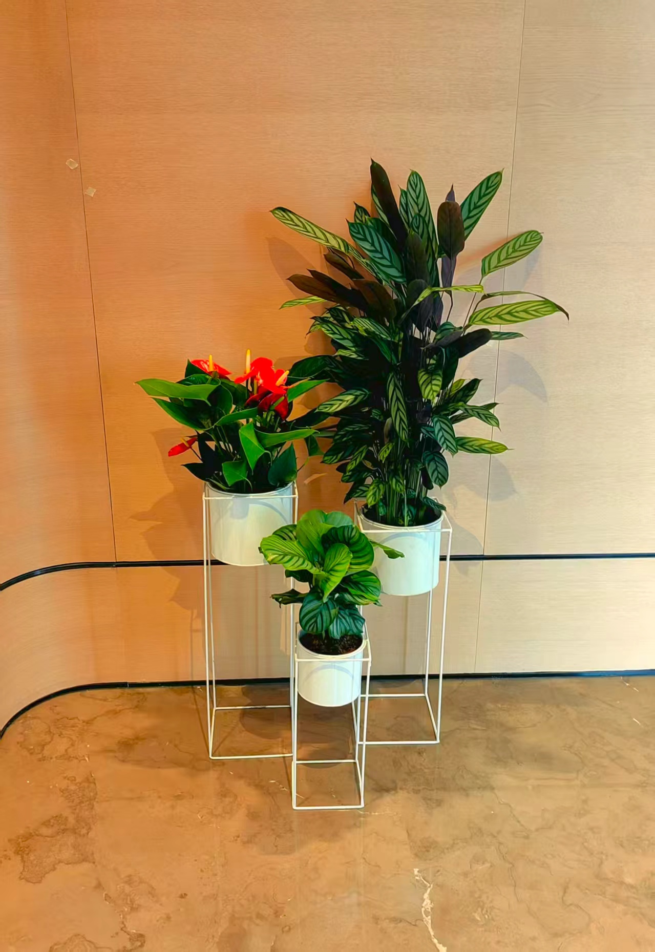 美波园林绿植养护作业实景