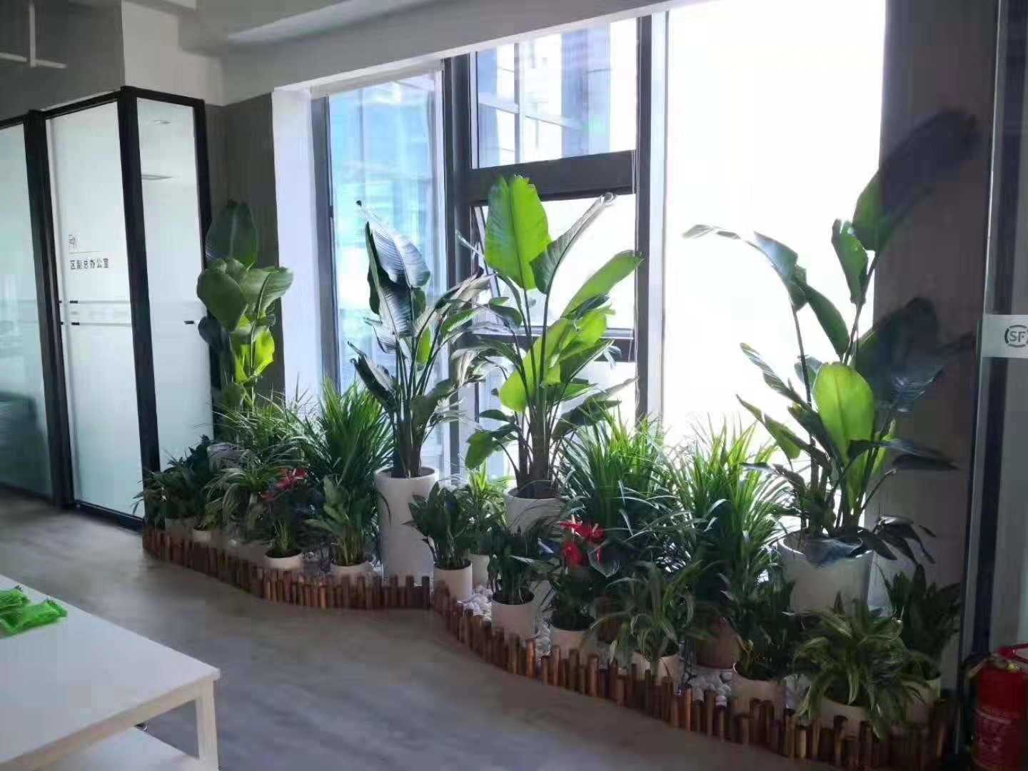 园区绿化养护作业实景