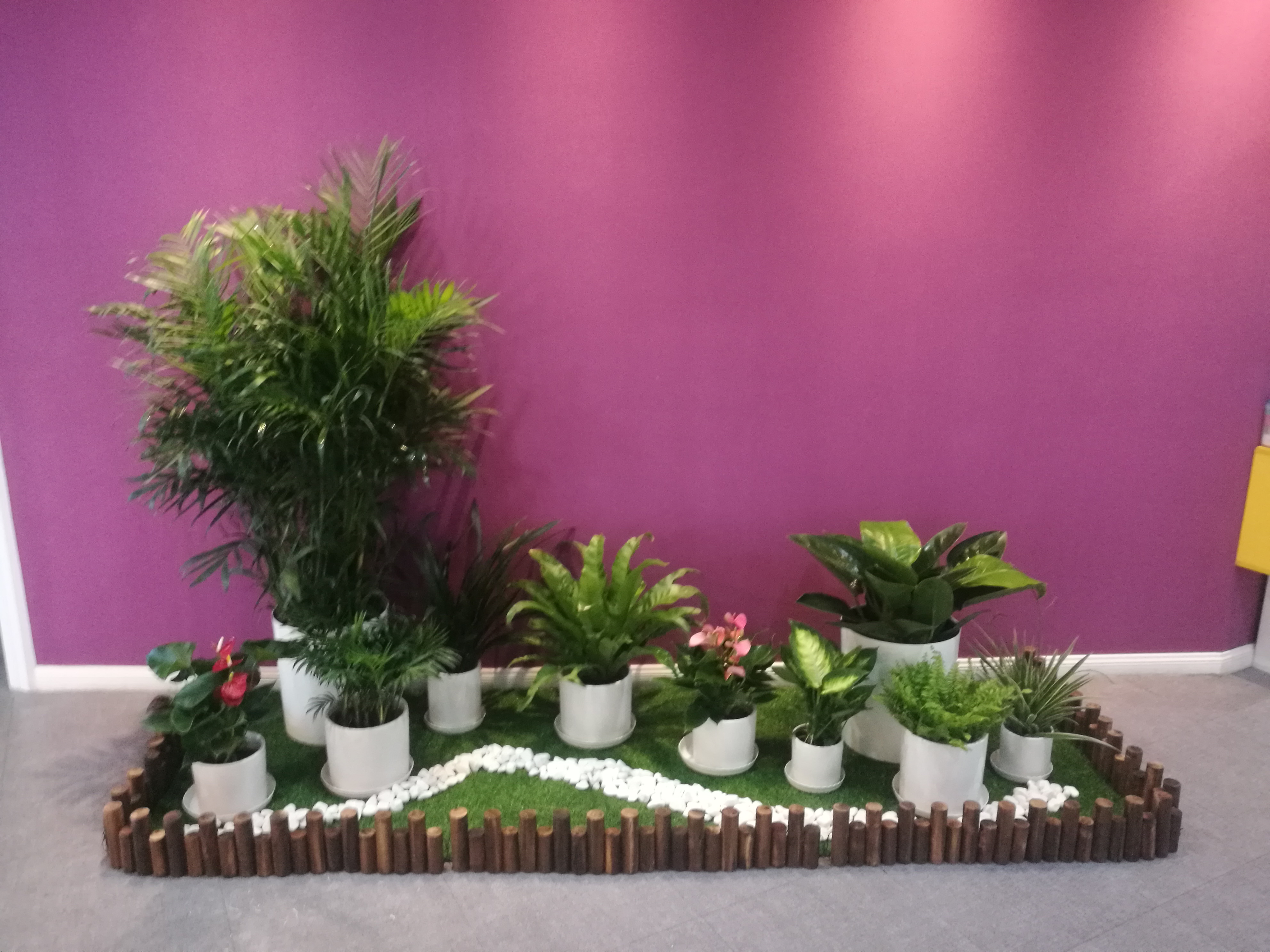花箱花境施工实景