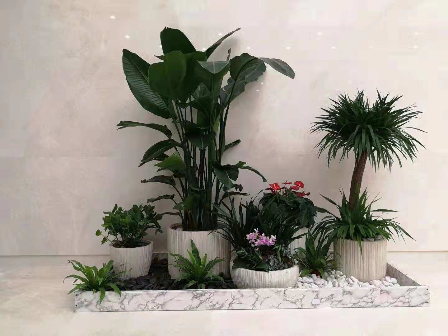 景观绿化成景实景
